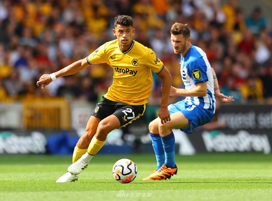 已经从当年 已经从当年